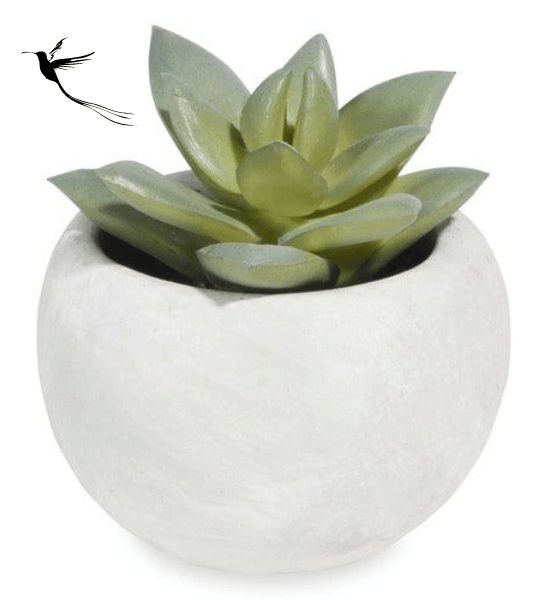 FLOWER POT